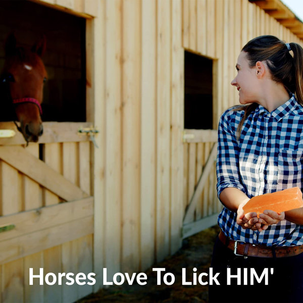 Himalayan Nature 100 Natural Himalayan Rock Salt Block, Horses & Deer